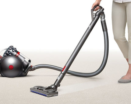 Aspirateur traineau Cinetic Big Ball Absolute 2