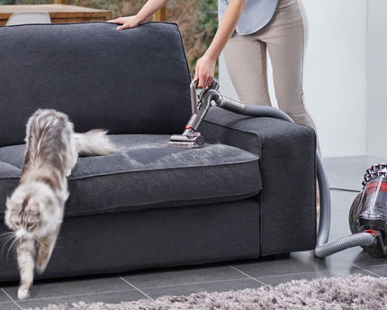 Aspirateur traineau Cinetic Big Ball Absolute 2