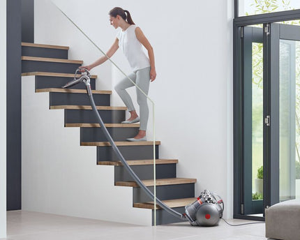 Aspirateur traineau Cinetic Big Ball Absolute 2