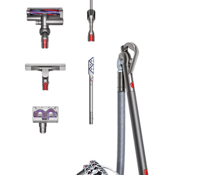 Aspirateur traineau Cinetic Big Ball Absolute 2